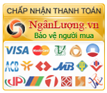nganluong.vn