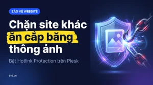Chặn site khác ăn cắp băng thông ảnh. Bật Hotlink Protection trên Plesk