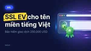 SSL EV cho tên miền tiếng Việt. Bảo hiểm giao dịch 250.000 USD
