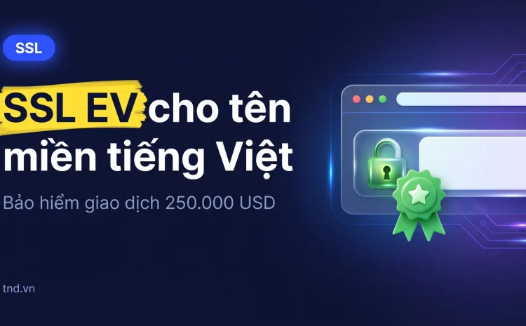SSL EV cho tên miền tiếng Việt. Bảo hiểm giao dịch 250.000 USD