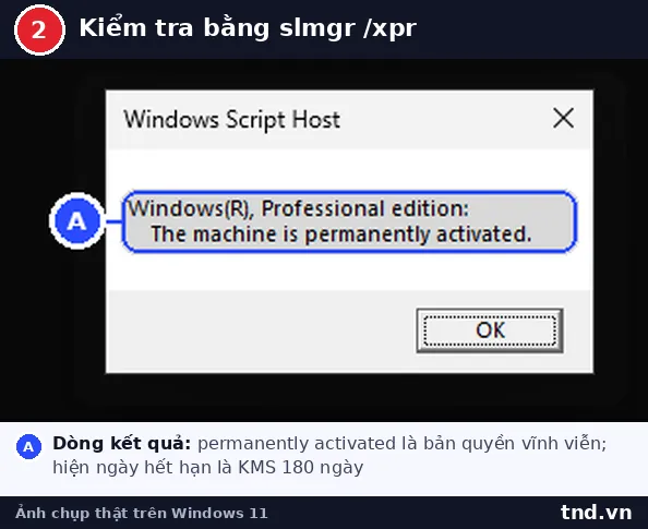 Hộp thoại Windows Script Host của lệnh slmgr xpr báo máy đã kích hoạt vĩnh viễn