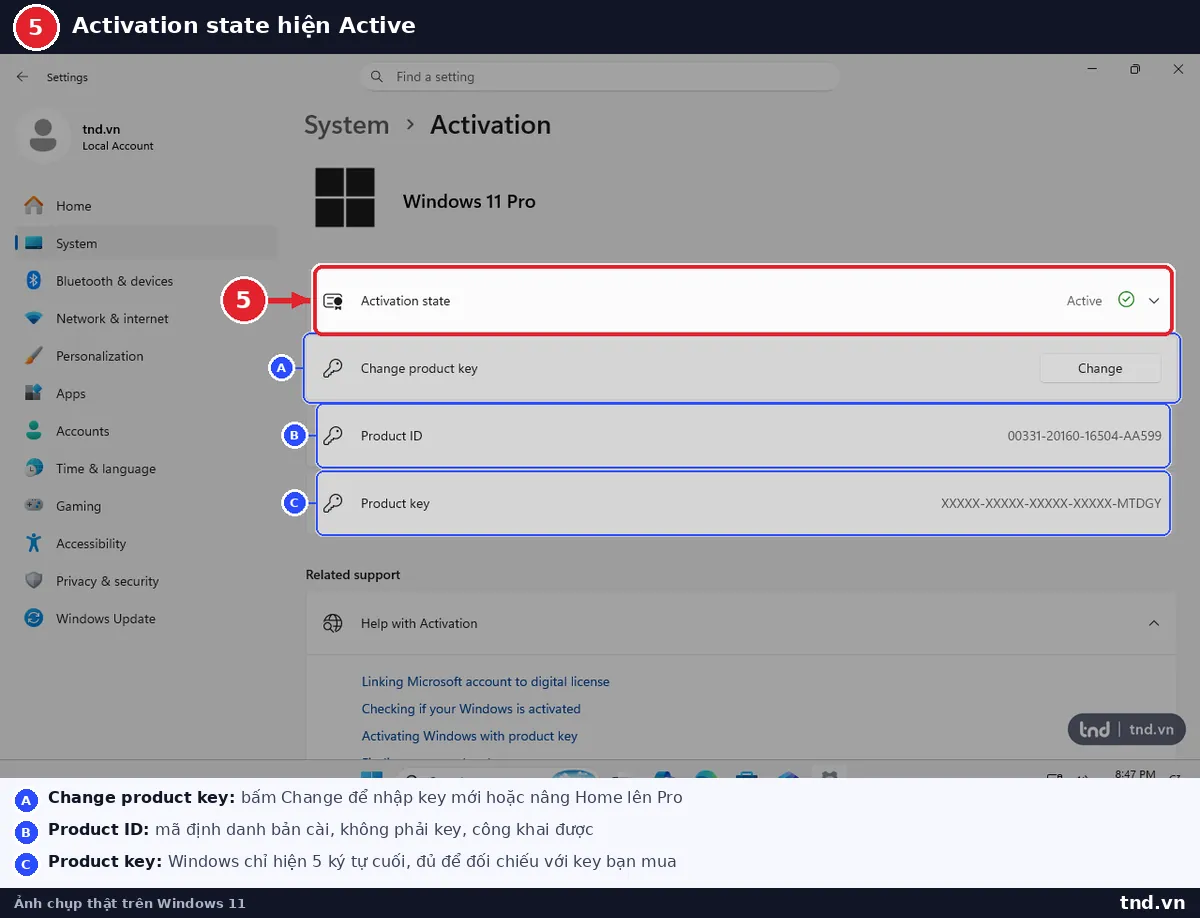 Trang Activation hiển thị Activation state là Active sau khi kích hoạt thành công