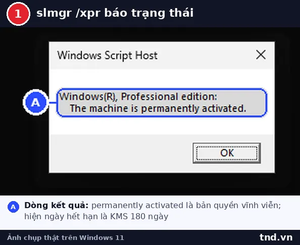 Hộp thoại Windows Script Host của lệnh slmgr xpr báo máy đã kích hoạt vĩnh viễn