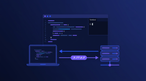 Lấy public IP trong code với ip.tnd.vn: cheat sheet cho đội vibe code