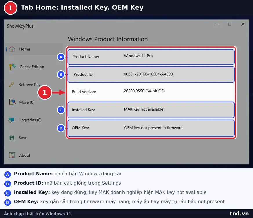 Tab Home của ShowKeyPlus hiện Product Name, Build Version, Installed Key và OEM Key