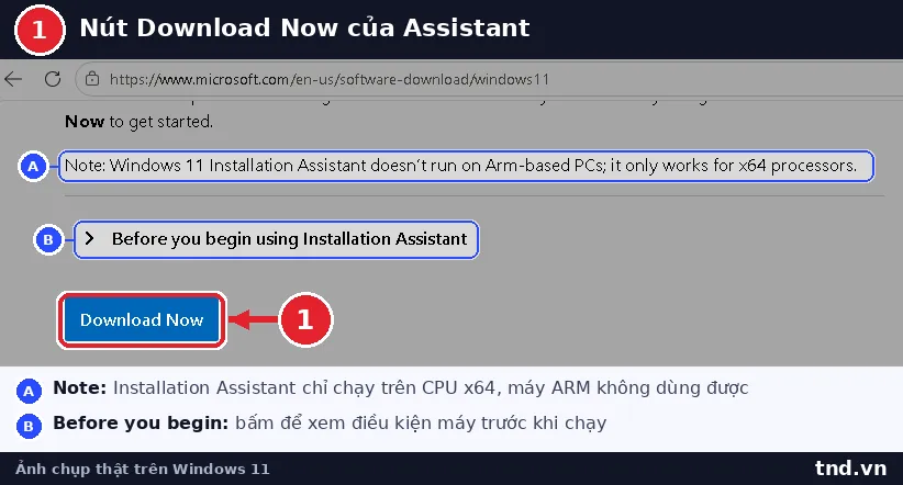 Nút Download Now ở mục Windows 11 Installation Assistant trên trang Microsoft
