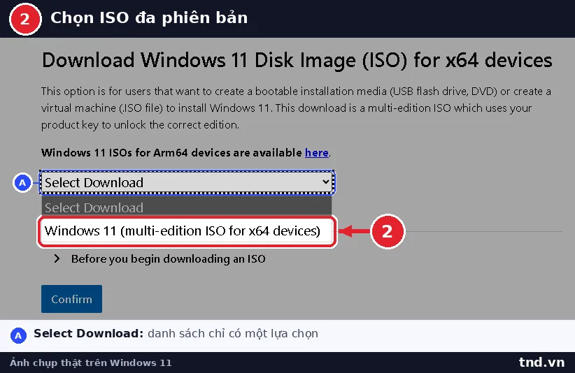 Danh sách Select Download mở ra chỉ có mục Windows 11 multi-edition ISO for x64 devices