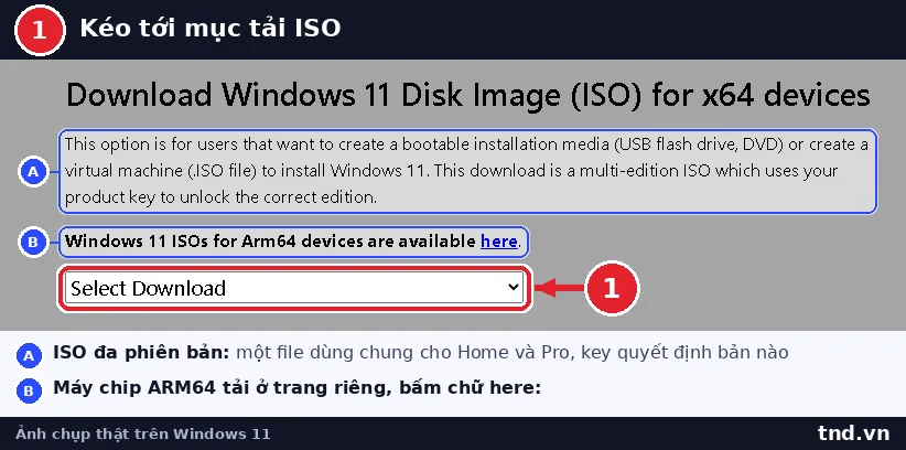 Mục Download Windows 11 Disk Image ISO for x64 devices với ô Select Download