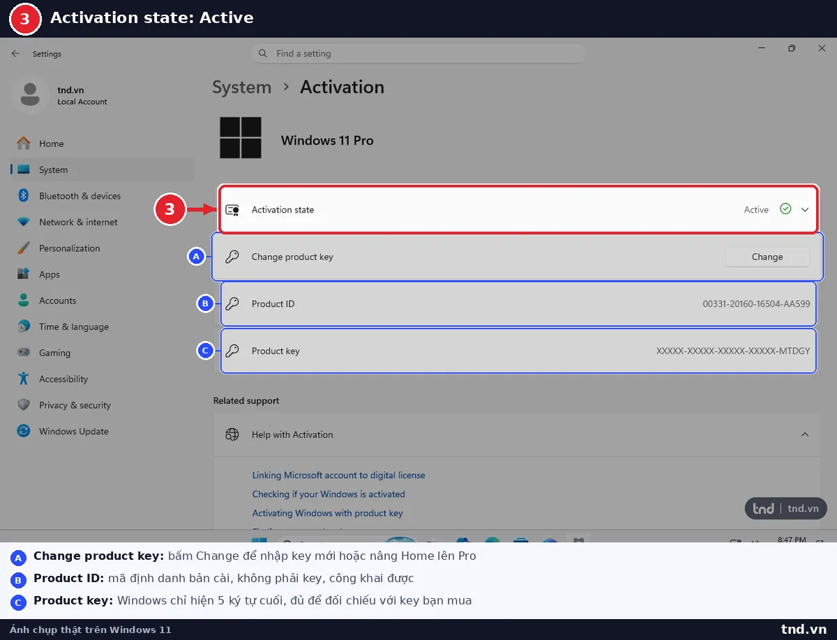 Dòng Activation state báo Not active trên Windows 11 Pro