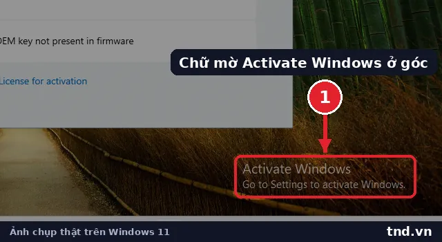 Dòng chữ Activate Windows, Go to Settings to activate Windows mờ ở góc phải màn hình Windows 11