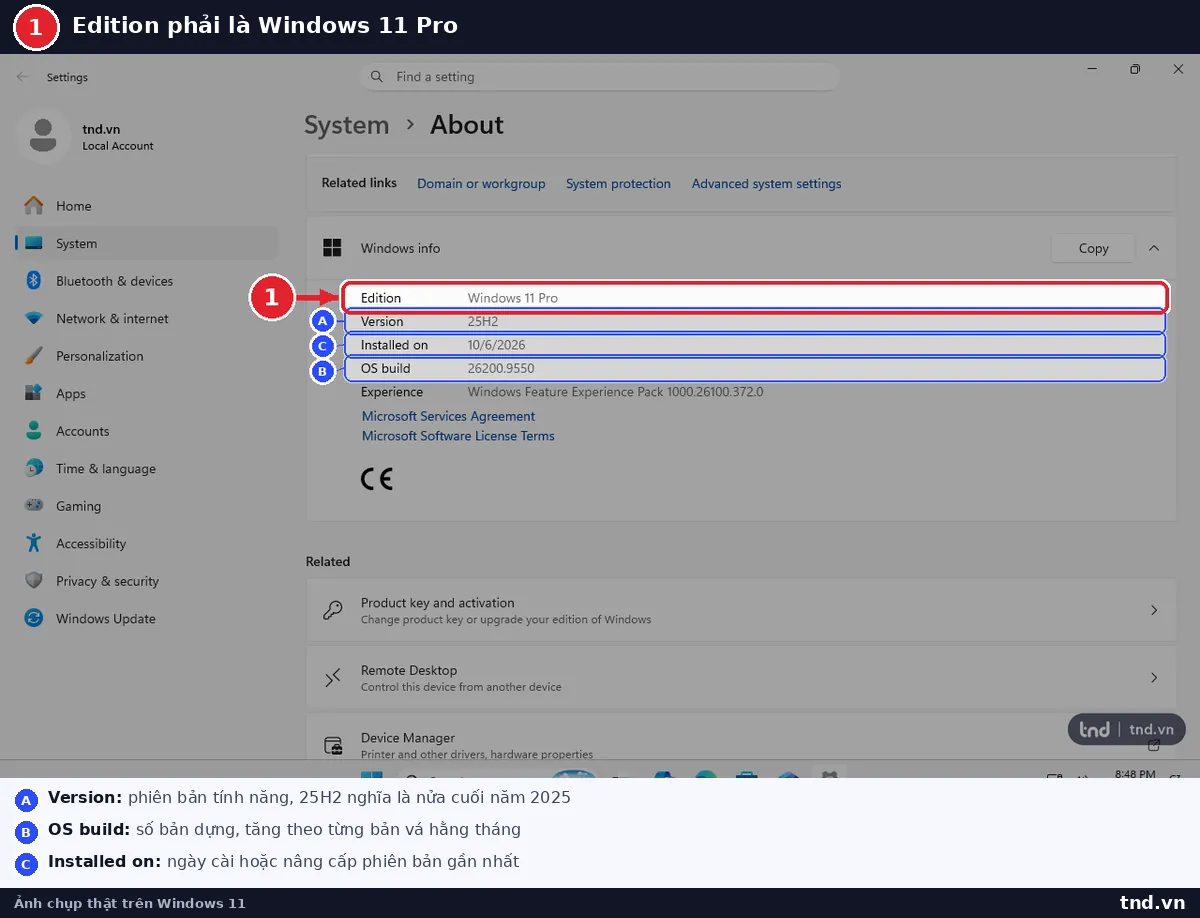 Mục Windows info trong Settings About hiện Edition Windows 11 Pro