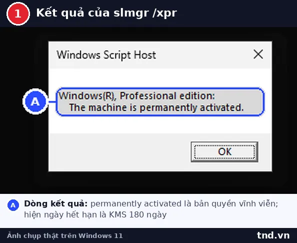 Hộp thoại Windows Script Host báo máy đã kích hoạt vĩnh viễn