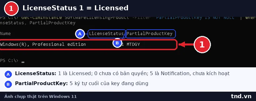 Kết quả Get-CimInstance SoftwareLicensingProduct trong PowerShell