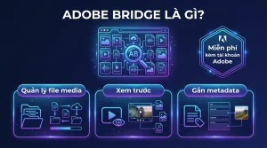 Adobe Bridge Là Gì? Quản Lý File Media Miễn Phí