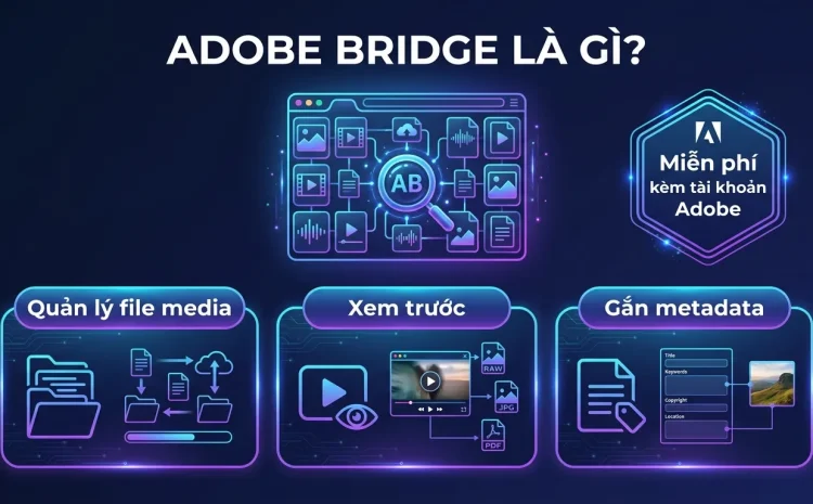 Adobe Bridge Là Gì? Quản Lý File Media Miễn Phí