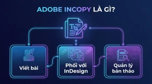 Adobe InCopy Là Gì? Công Cụ Biên Tập Phối Hợp InDesign