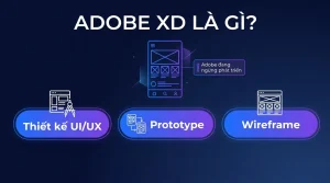 Adobe XD Là Gì? Thiết Kế UI/UX Và Lưu Ý Khi Chọn 2026