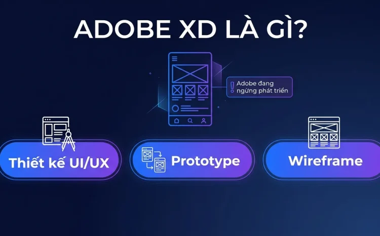 Adobe XD Là Gì? Thiết Kế UI/UX Và Lưu Ý Khi Chọn 2026