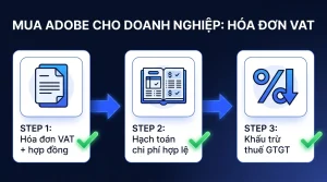 Mua Adobe Cho Doanh Nghiệp: Hóa Đơn VAT & Khấu Trừ Thuế GTGT