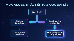 Nên Mua Adobe Trực Tiếp Hay Qua Đại Lý? So Sánh Chi Tiết [2026]