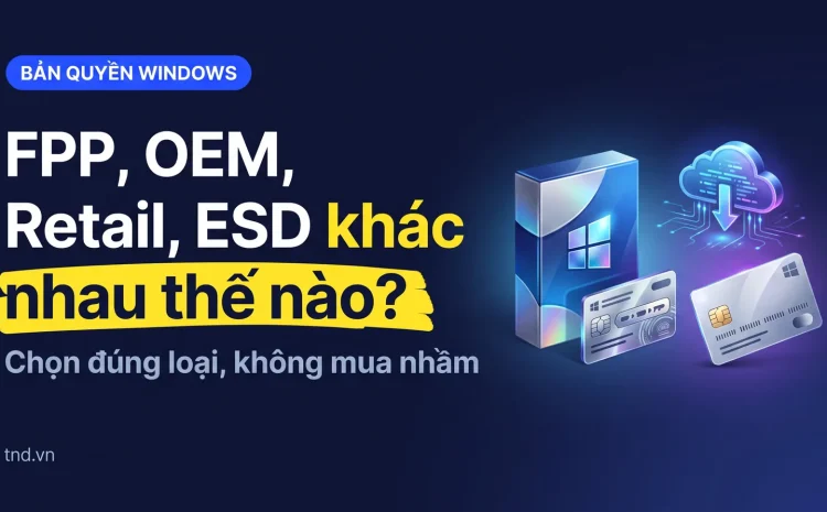 FPP, OEM, Retail, ESD khác nhau thế nào?. Chọn đúng loại, không mua nhầm