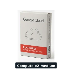 Google Cloud Compute Engine e2-medium (2 vCPU, 4GB RAM)