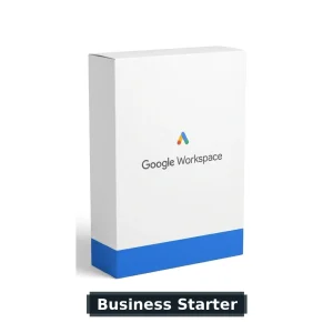 Google Workspace Business Starter