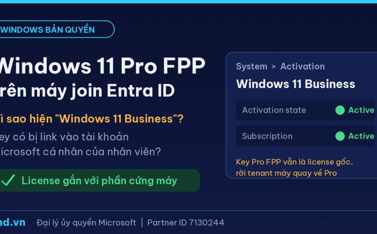 Windows 11 Pro FPP trên máy join Entra ID: Vì sao hiện Windows 11 Business? Key có bị link vào tài khoản cá nhân?