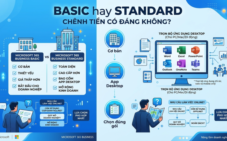 Microsoft 365 Business Basic hay Standard: chênh tiền có đáng