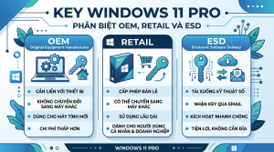 Các loại key Windows 11 Pro: OEM, Retail, ESD khác nhau thế nào