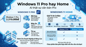 Windows 11 Pro khác Home ở đâu, ai thật sự cần bản Pro