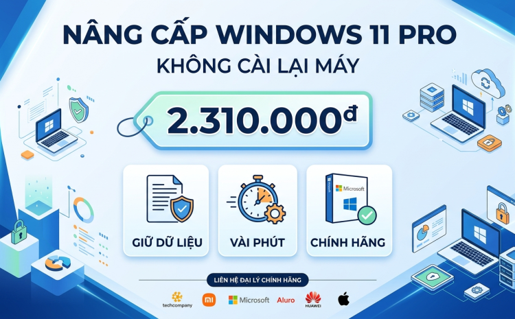 Nâng cấp Windows 11 Home lên Pro: cách làm và chi phí thực tế