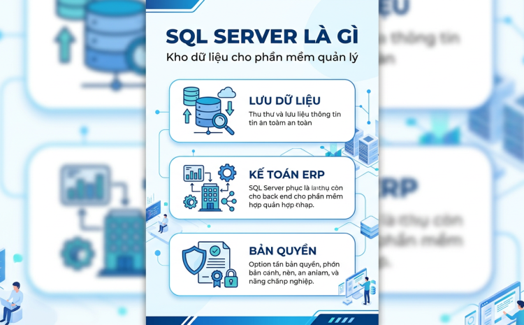 SQL Server dùng để làm gì, vì sao phần mềm quản lý doanh nghiệp cần nó