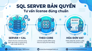 Mua SQL Server bản quyền cho doanh nghiệp tại TND: tư vấn license