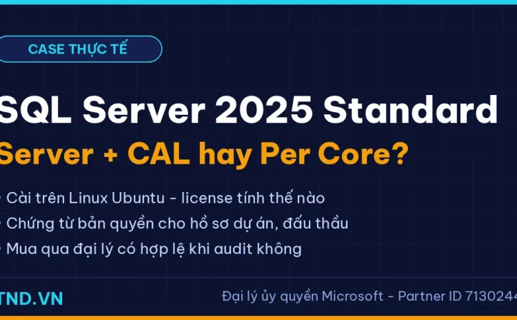 Mua license SQL Server 2025 Standard: chọn Server + CAL hay Per Core? Case thực tế từ một dự án doanh nghiệp