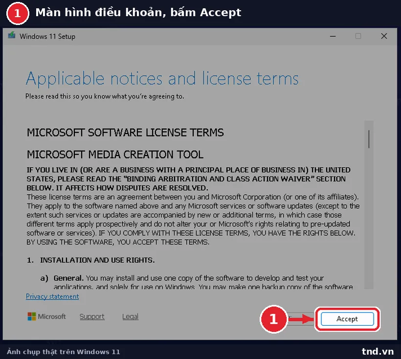 Màn hình Applicable notices and license terms của Media Creation Tool