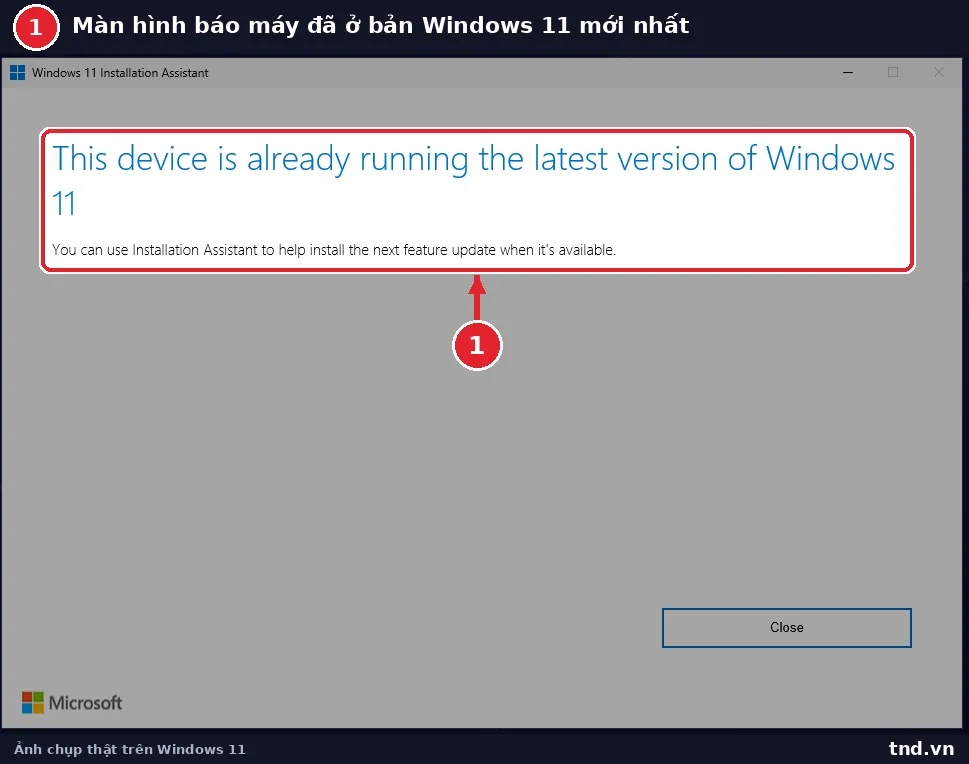 Windows 11 Installation Assistant báo This device is already running the latest version of Windows 11