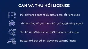 Gán và thu hồi license Microsoft 365 đúng cách