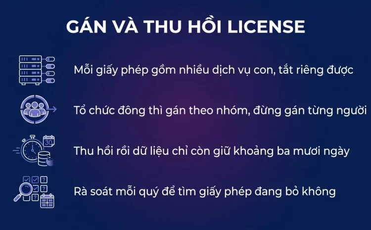Gán và thu hồi license Microsoft 365 đúng cách