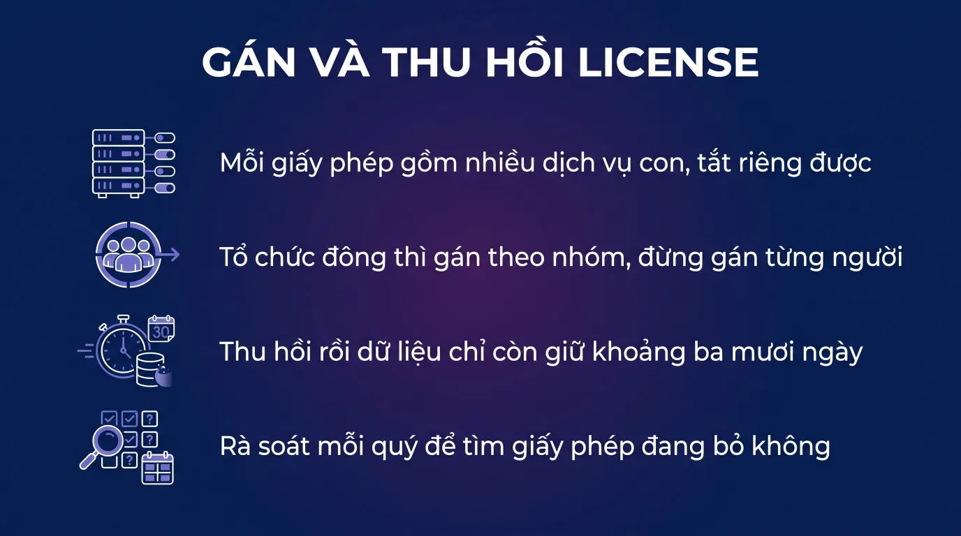 Gán và thu hồi license Microsoft 365 đúng cách