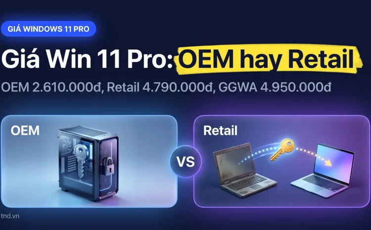 Giá Windows 11 Pro bản quyền 2026: OEM, Retail, GGWA khác vì sao