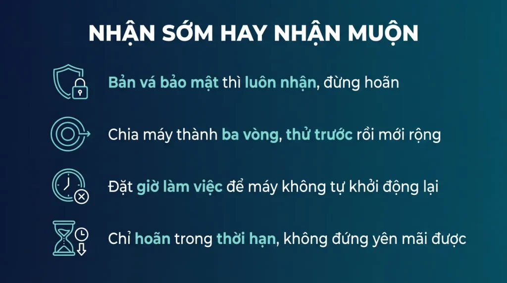 Kênh cập nhật Windows: chọn nhận sớm hay nhận muộn