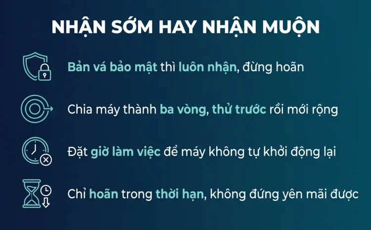Kênh cập nhật Windows: chọn nhận sớm hay nhận muộn