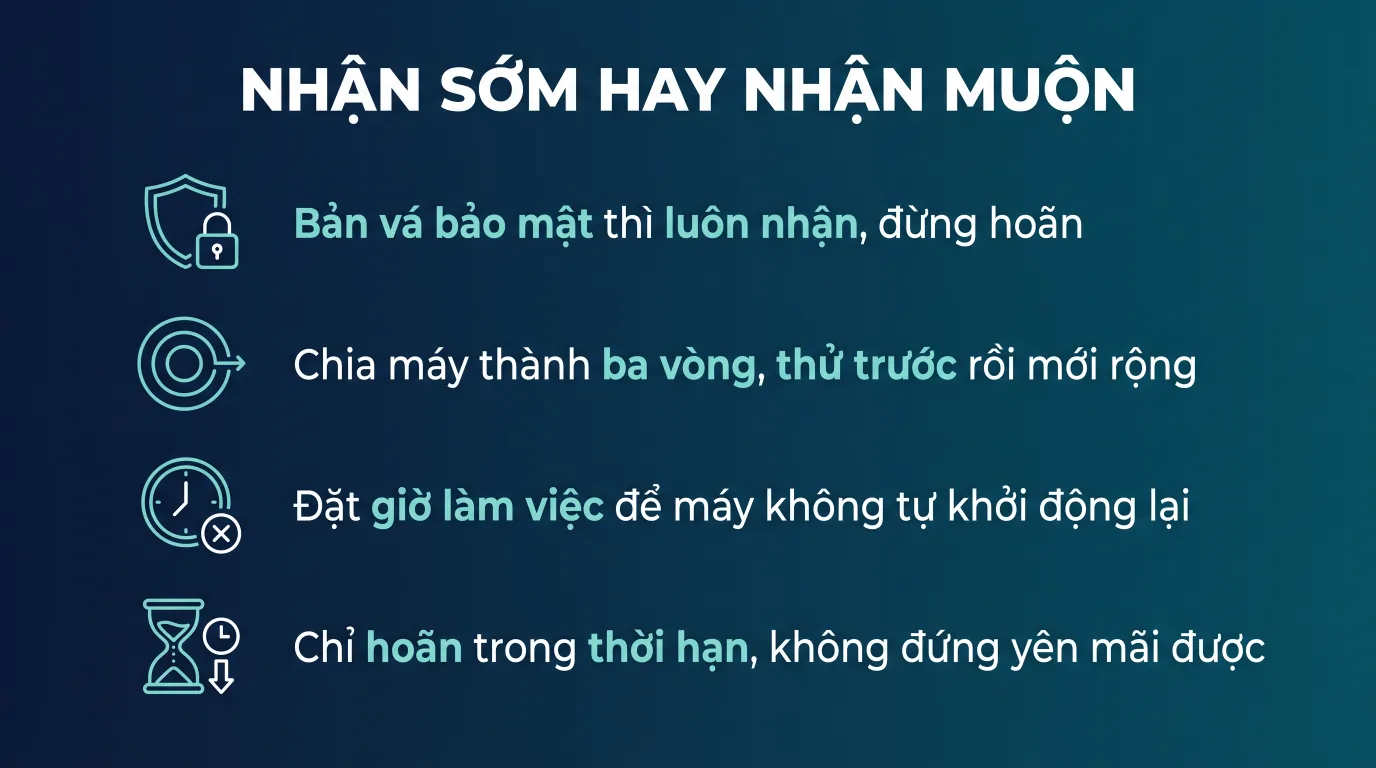 Kênh cập nhật Windows: chọn nhận sớm hay nhận muộn
