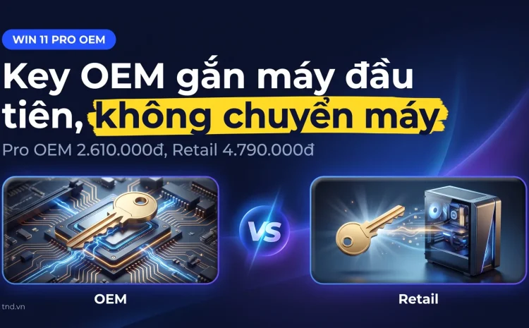 Key Win 11 Pro OEM là gì, gắn máy nào và khi nào không nên mua