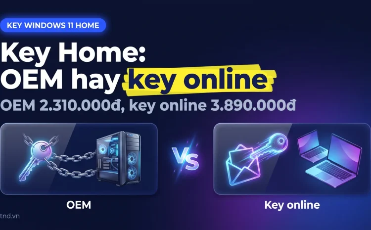 Key Windows 11 Home: OEM, key online hay FPP, nên chọn loại nào