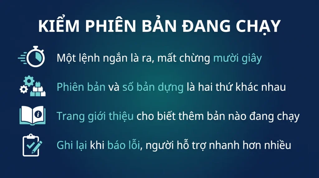 Kiểm tra phiên bản và số bản dựng Windows 11 đang chạy