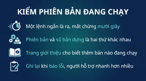 Kiểm tra phiên bản và số bản dựng Windows 11 đang chạy