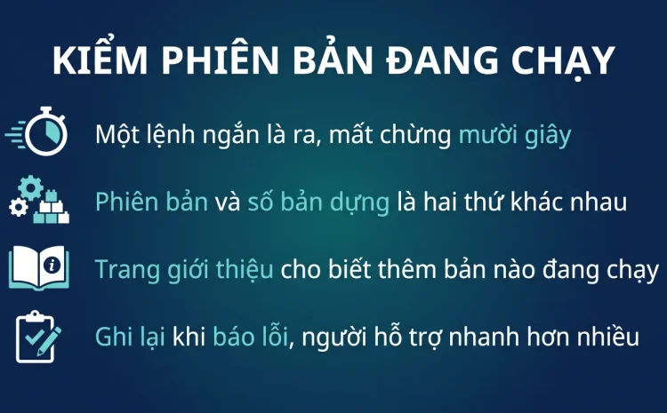 Kiểm tra phiên bản và số bản dựng Windows 11 đang chạy