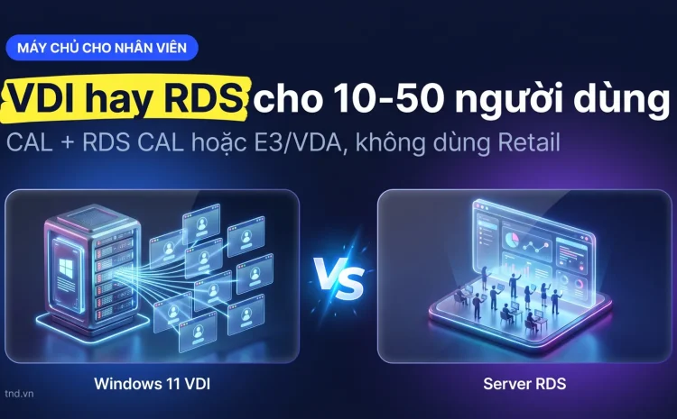 Máy chủ ảo cho nhân viên: Windows 11 VDI hay Windows Server RDS